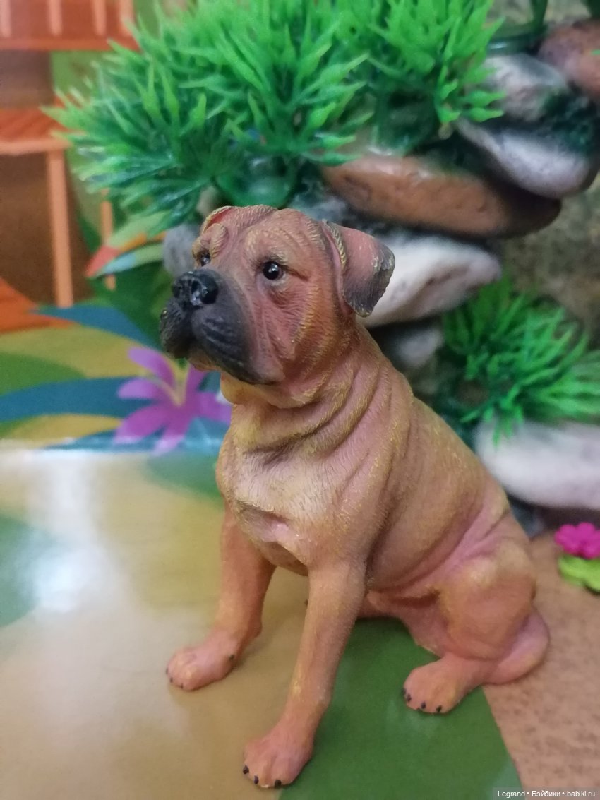 Лурения: прогулки питомцев