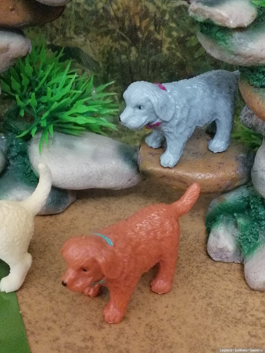 Лурения: прогулки питомцев (фото 4)