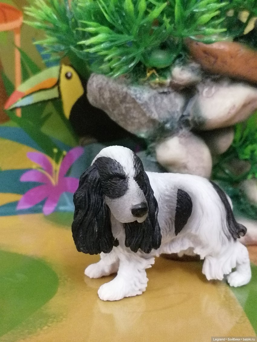 Лурения: прогулки питомцев