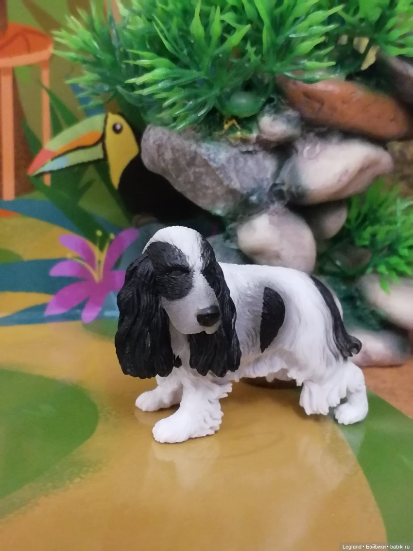 Лурения: прогулки питомцев