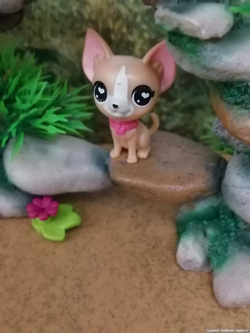 Лурения: прогулки питомцев