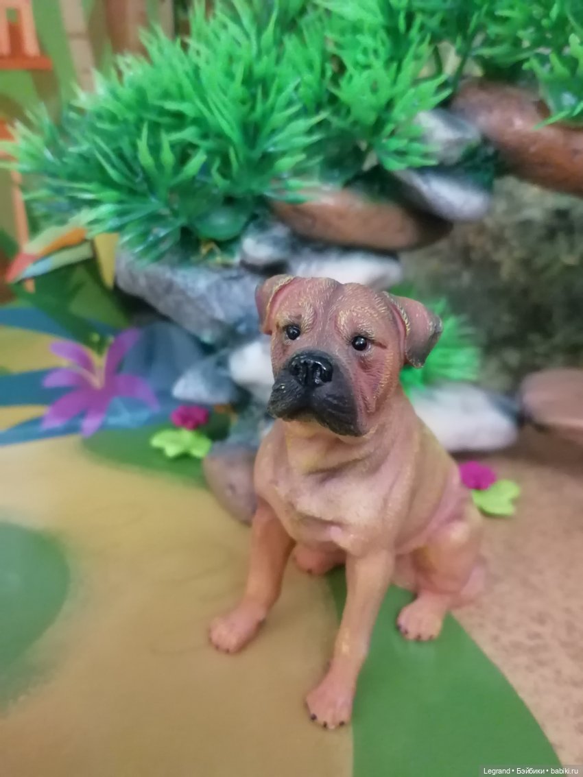 Лурения: прогулки питомцев