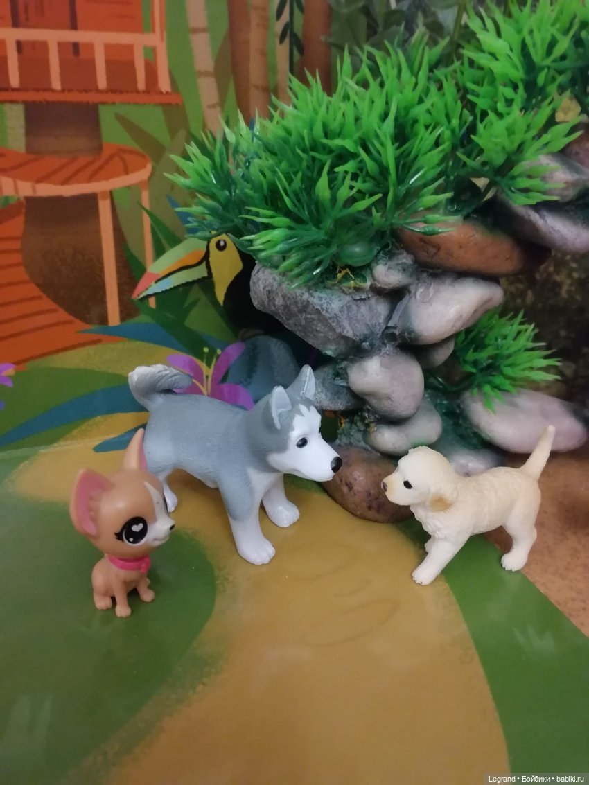 Лурения: прогулки питомцев (фото 2)