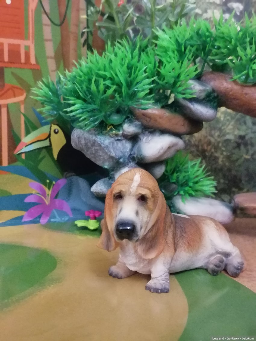 Лурения: прогулки питомцев