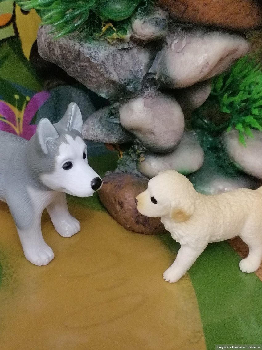 Лурения: прогулки питомцев (фото 3)