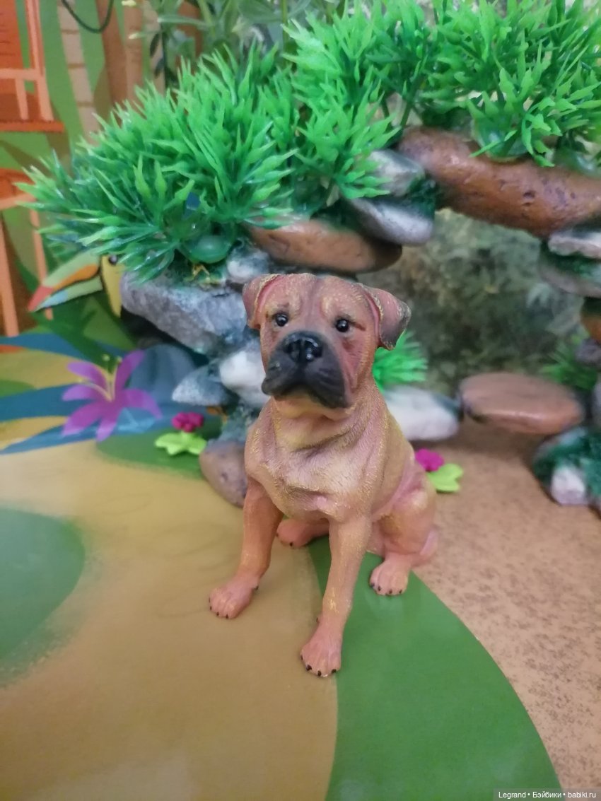 Лурения: прогулки питомцев