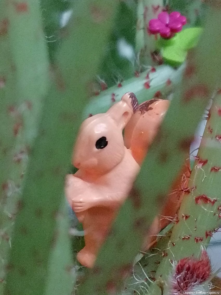 Лурения: прогулки питомцев