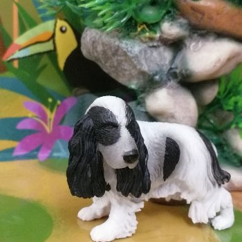 Лурения: прогулки питомцев