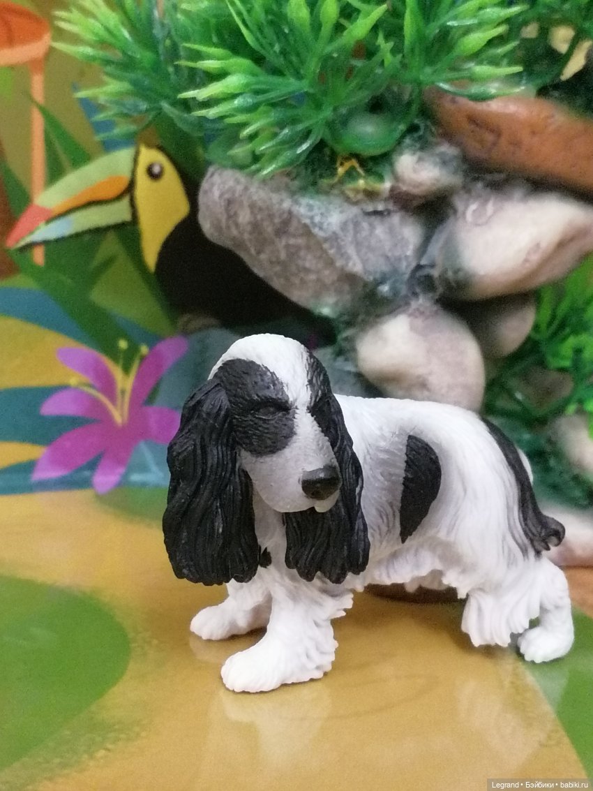 Лурения: ещё один питомец🤗