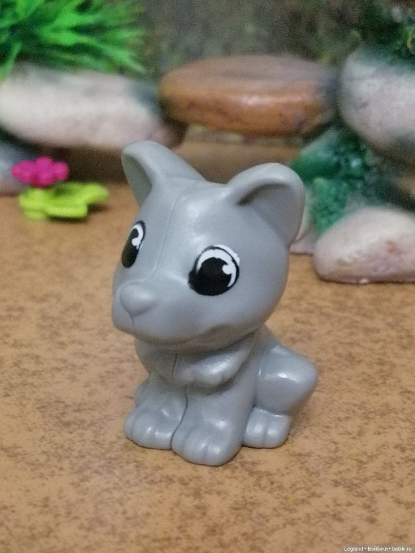 Лурения: ещё один питомец🤗 (фото 5)