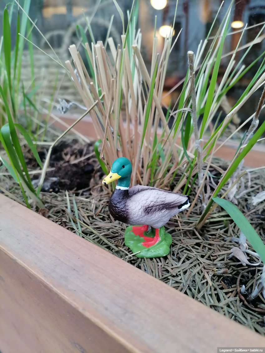 Лурения: Утиные истории - Барин, утята и поиск жены