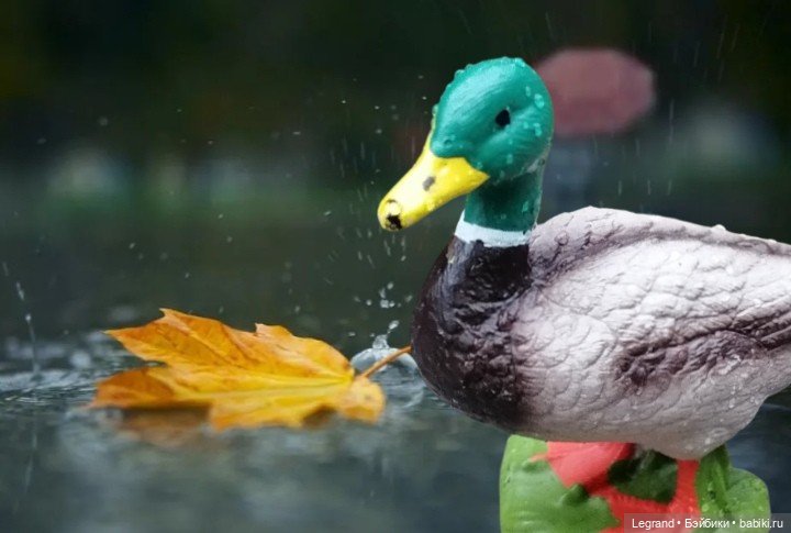 Лурения: Утиные истории - Барин, утята и поиск жены