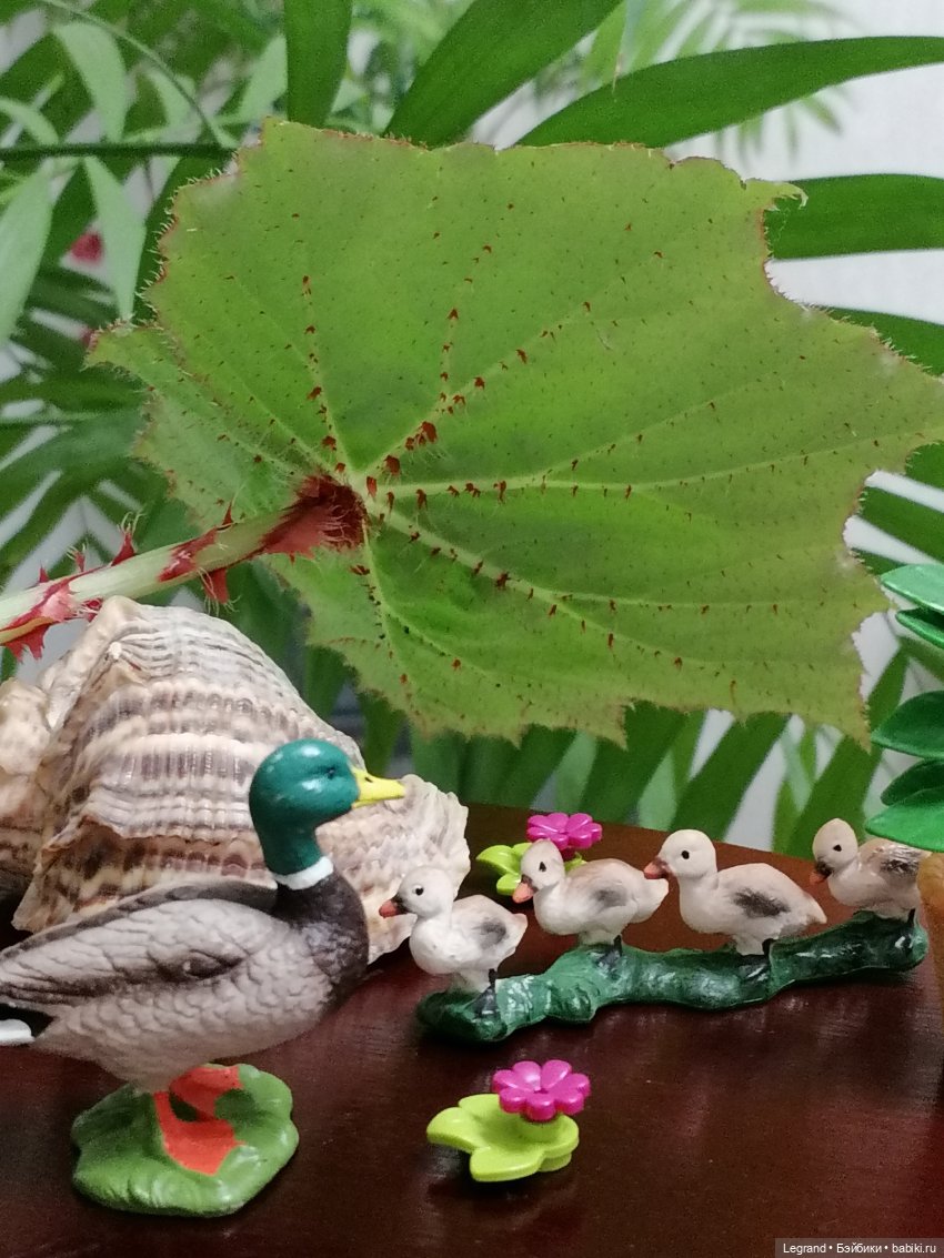 Лурения: Утиные истории - Барин, утята и поиск жены (фото 3)