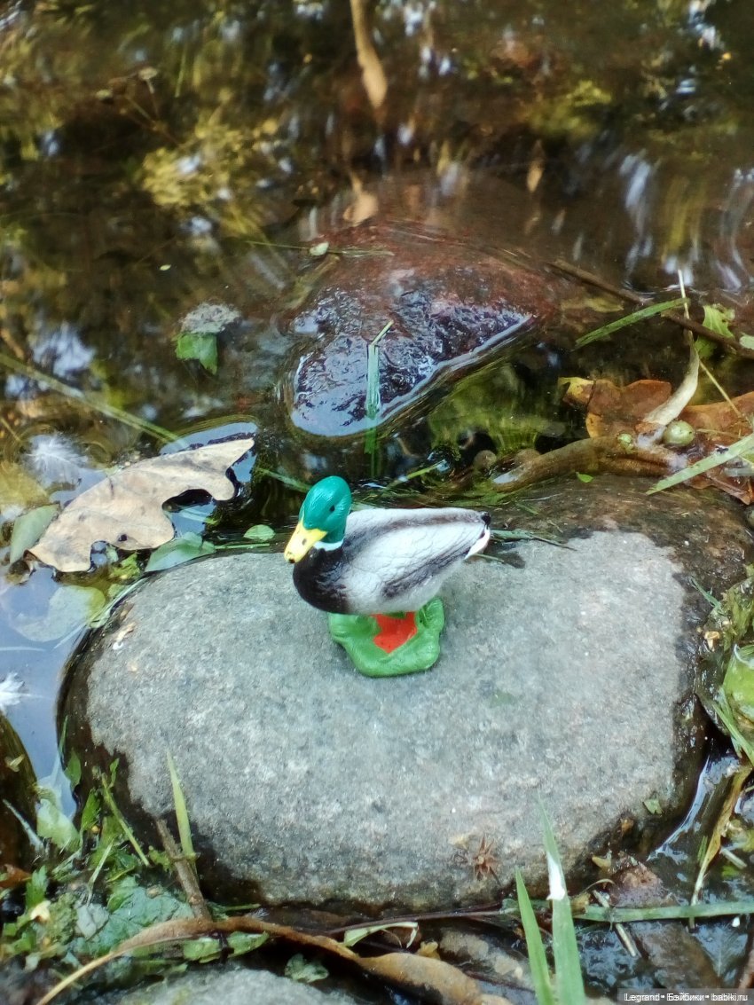 Лурения: Утиные истории - Барин, утята и поиск жены