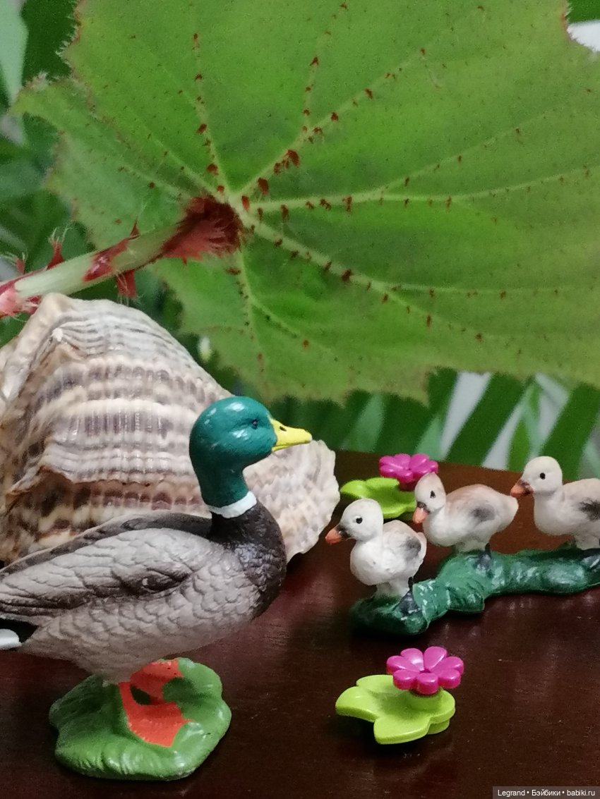 Лурения: Утиные истории - Барин, утята и поиск жены (фото 7)