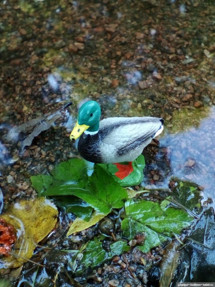 Лурения: Утиные истории - Барин, утята и поиск жены