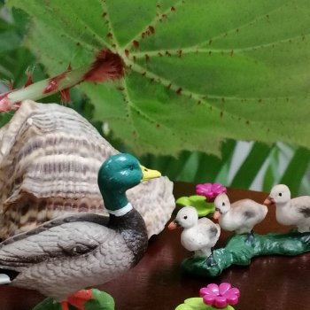 Лурения: Утиные истории - Барин, утята и поиск жены