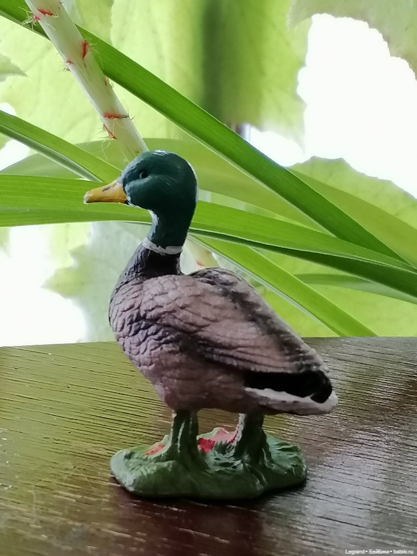 Лурения: Утиные истории - Разговор с Барином (фото 2)