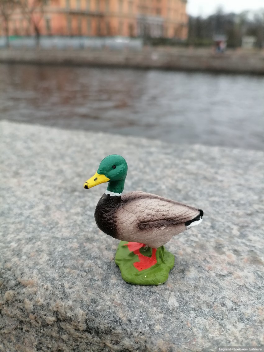 Лурения: Утиные истории - Барин, утята и поиск жены