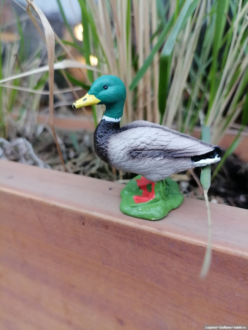 Лурения: Утиные истории - Барин, утята и поиск жены