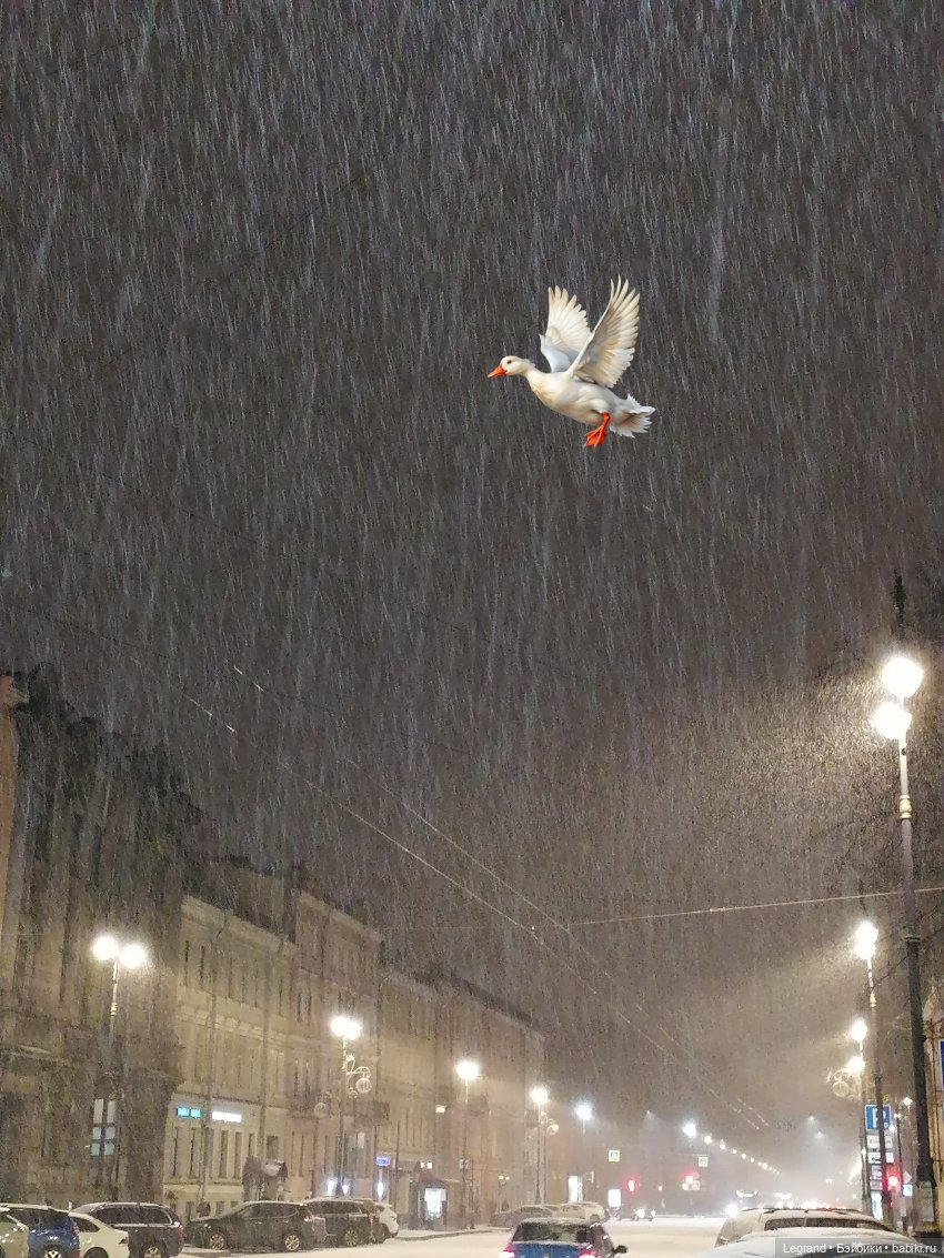 Лурения: Утиные истории - Разговор с Барином (фото 5)