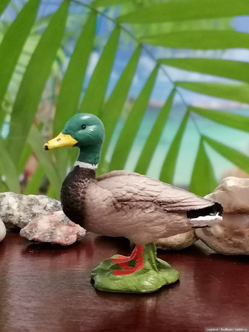 Лурения: Утиные истории - Радостная новость (фото 5)