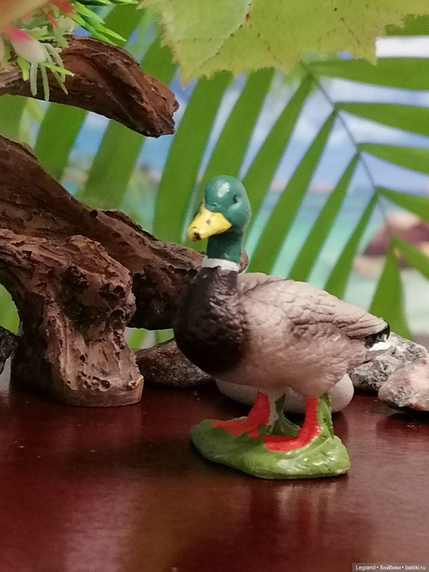 Лурения: Утиные истории - Радостная новость