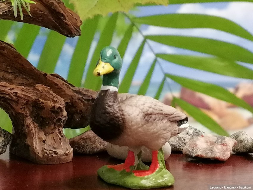 Лурения: Утиные истории - Радостная новость