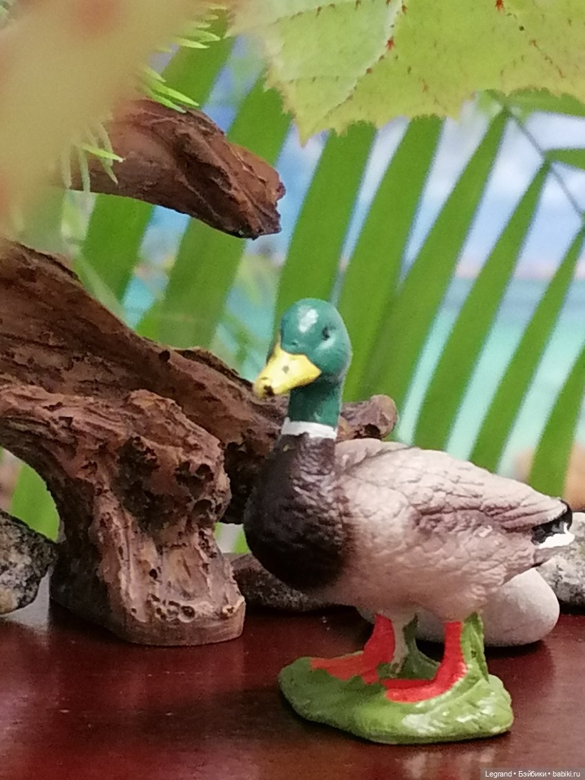 Лурения: Утиные истории - Радостная новость