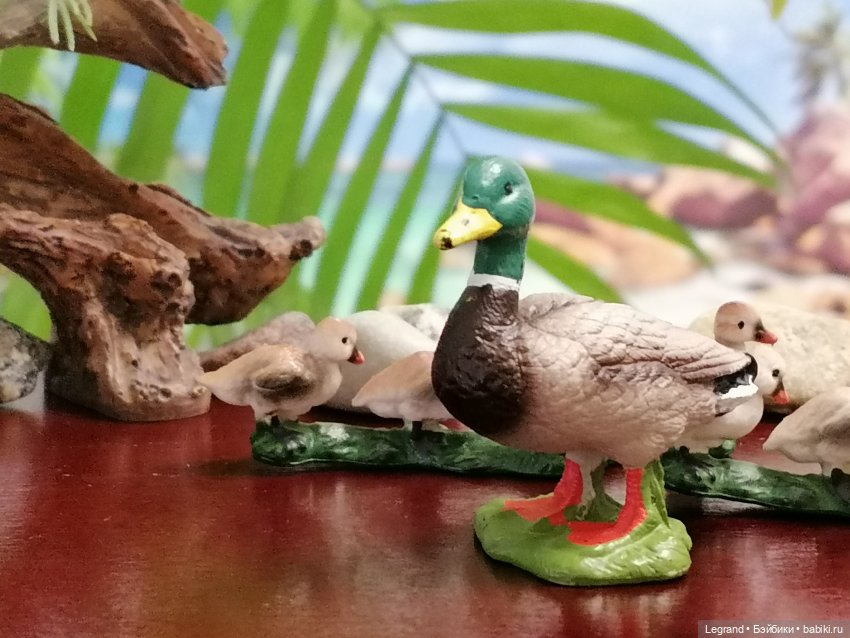 Лурения: Утиные истории - Радостная новость