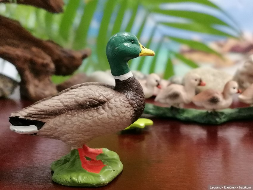 Лурения: Утиные истории - Радостная новость