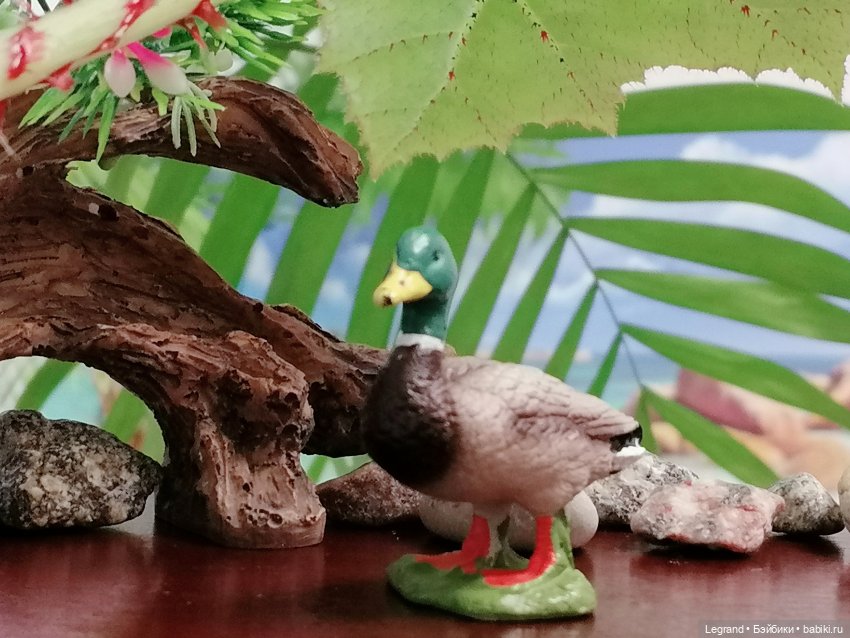 Лурения: Утиные истории - Радостная новость