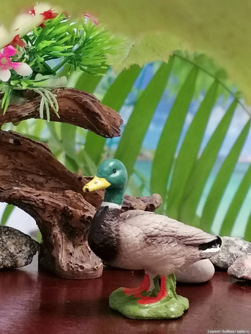 Лурения: Утиные истории - Радостная новость (фото 7)