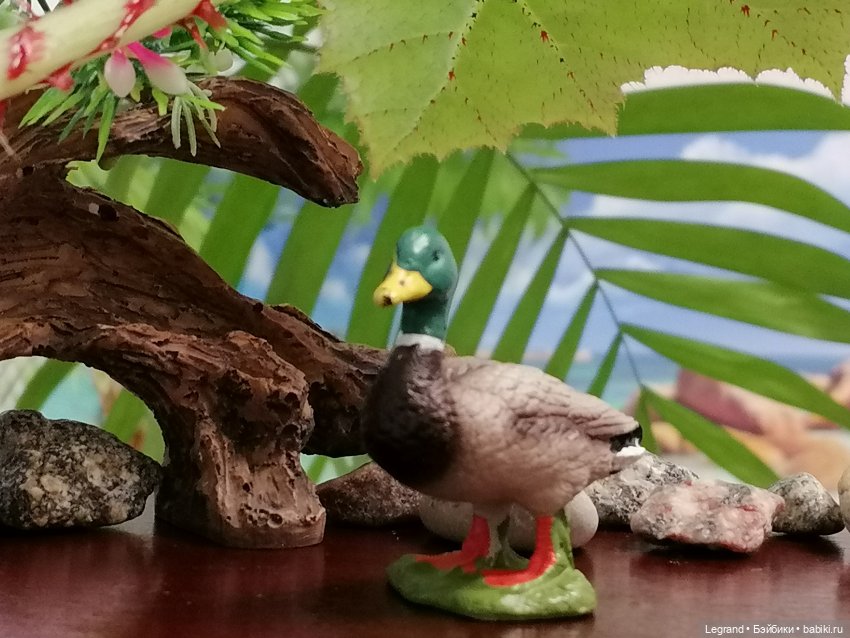 Лурения: Утиные истории - Радостная новость