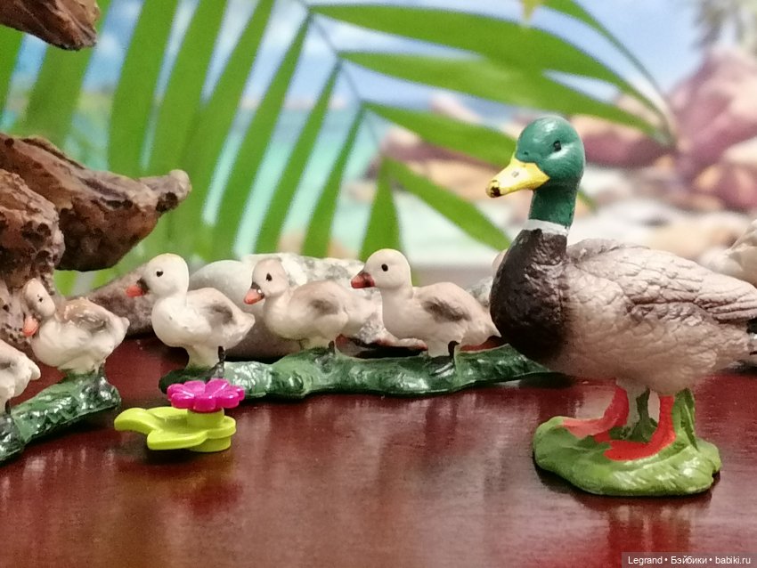 Лурения: Утиные истории - Радостная новость