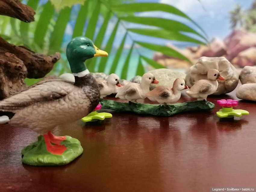 Лурения: Утиные истории - Радостная новость