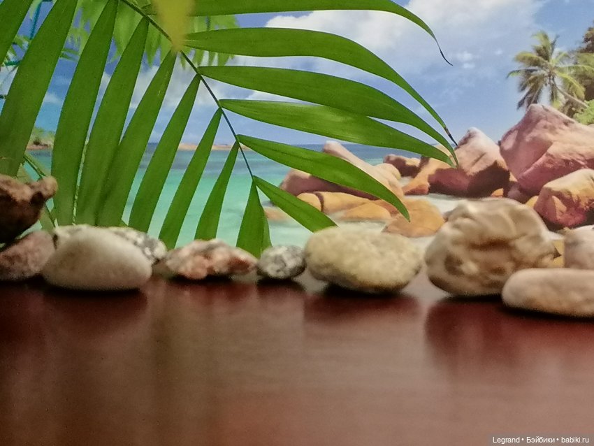 Лурения: Утиные истории - Радостная новость