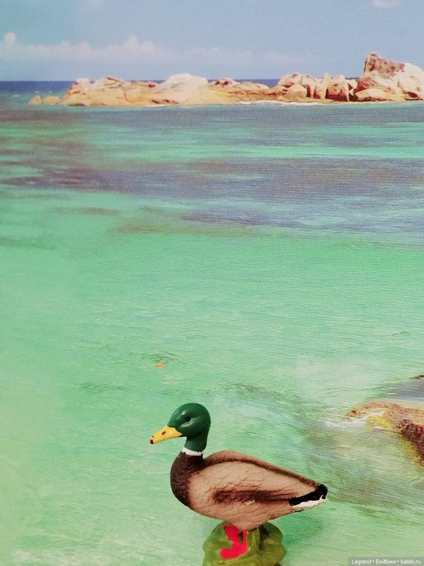 Лурения: Утиные истории - Радостная новость (фото 4)