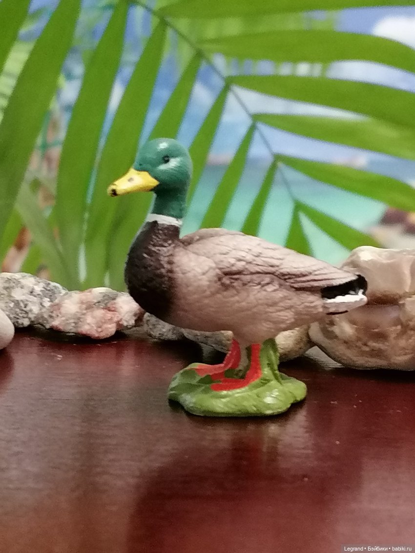 Лурения: Утиные истории - Радостная новость (фото 6)