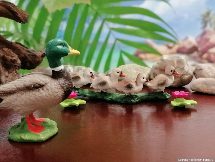 Лурения: Утиные истории - Радостная новость (фото 10)