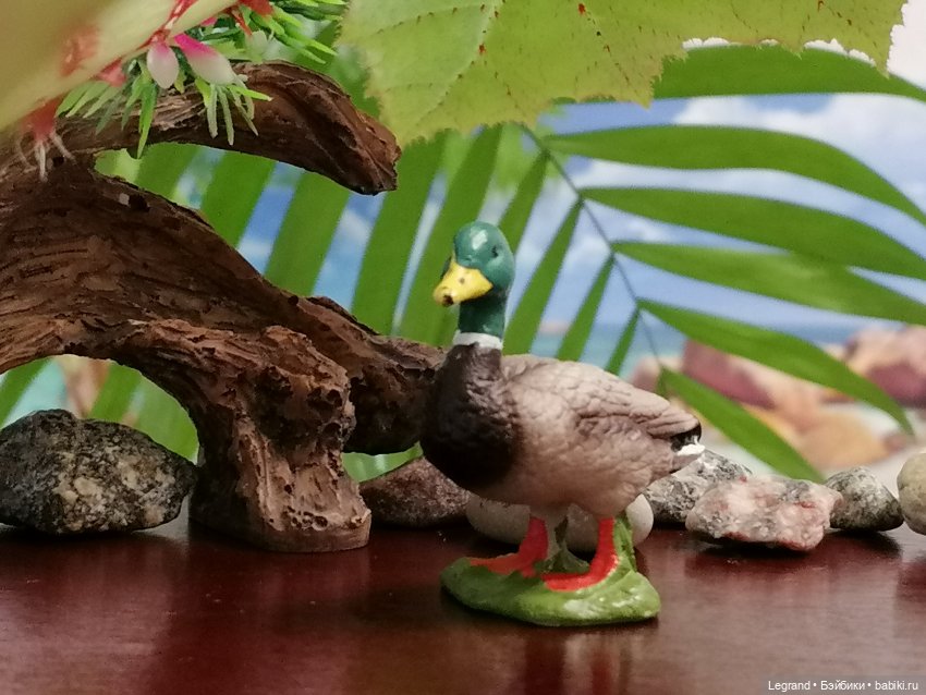 Лурения: Утиные истории - Радостная новость