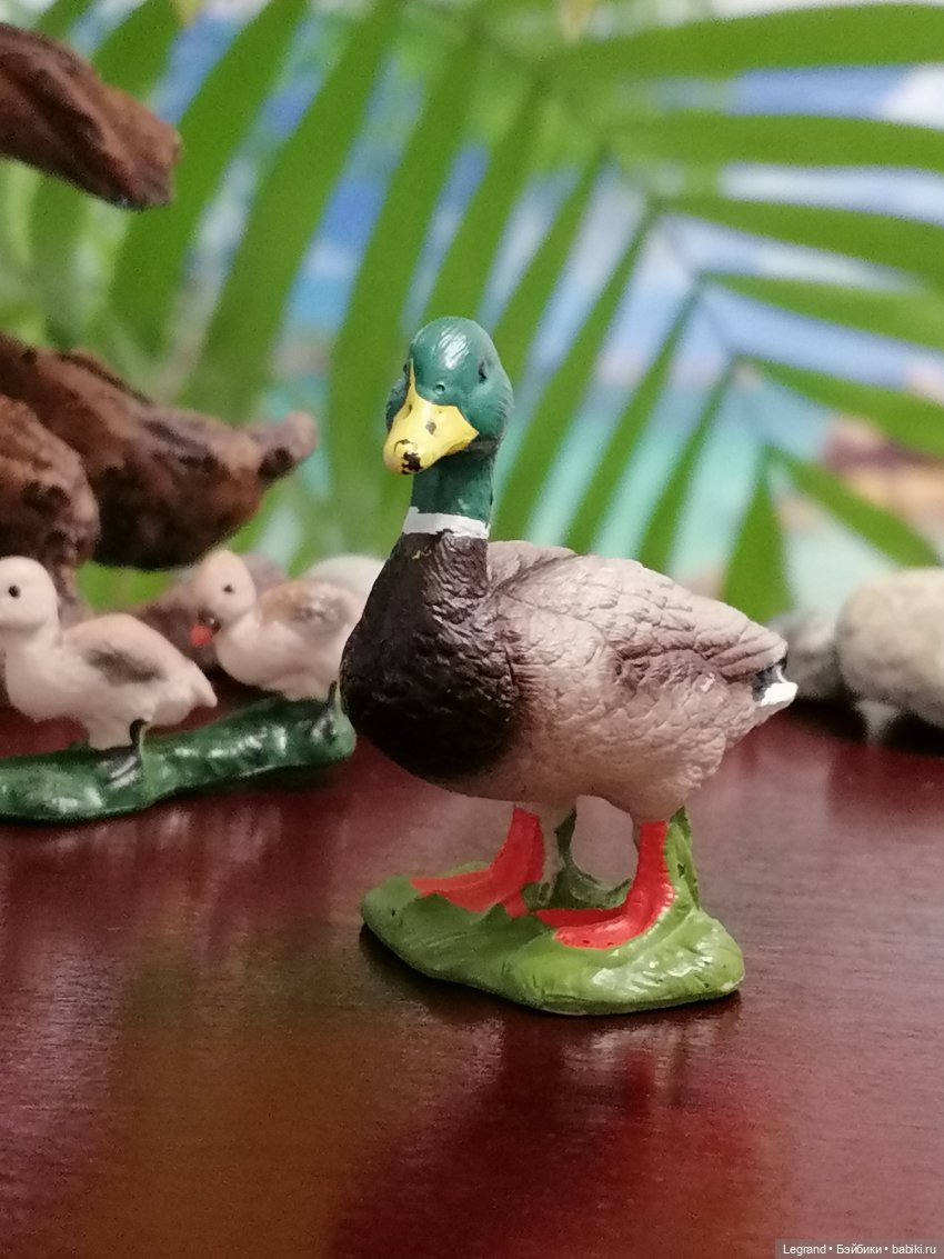 Лурения: Утиные истории - Радостная новость (фото 8)