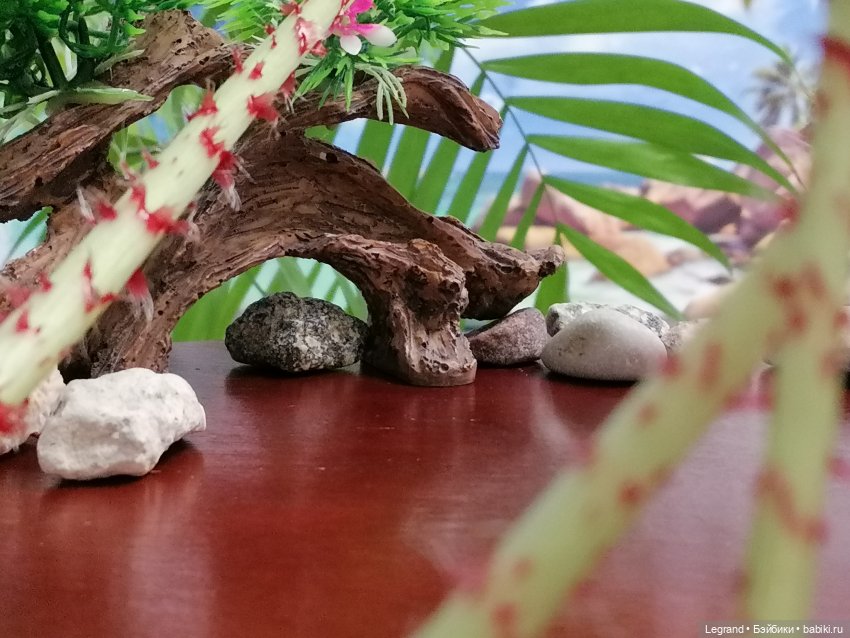 Лурения: Утиные истории - Радостная новость (фото 2)