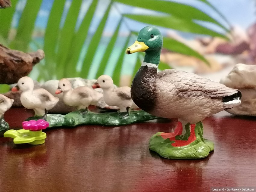 Лурения: Утиные истории - Радостная новость