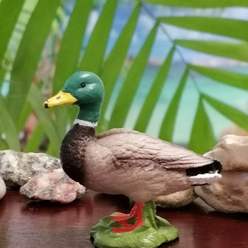 Лурения: Утиные истории - Радостная новость