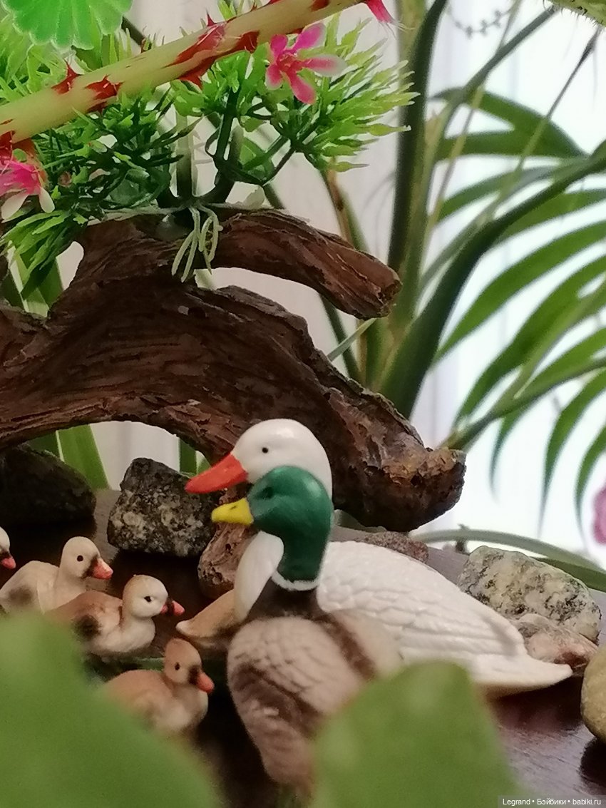 Лурения: Утиные истории - Барин и Сигизмунда