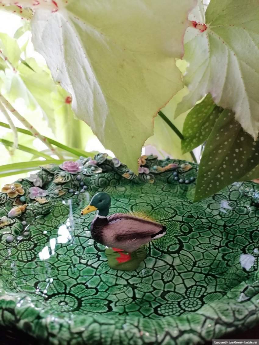 Лурения: Утиные истории - Барин и Сигизмунда