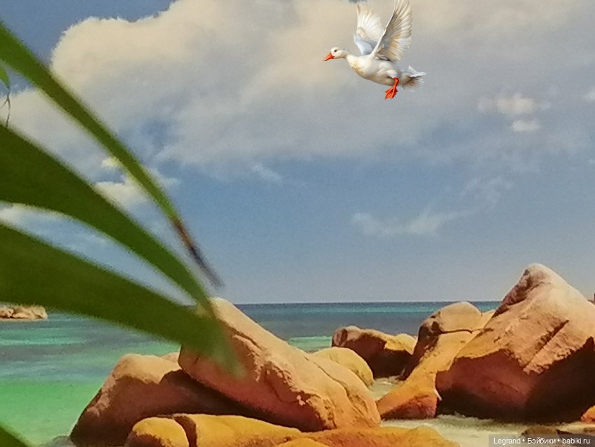 Лурения: Утиные истории - Барин и Сигизмунда