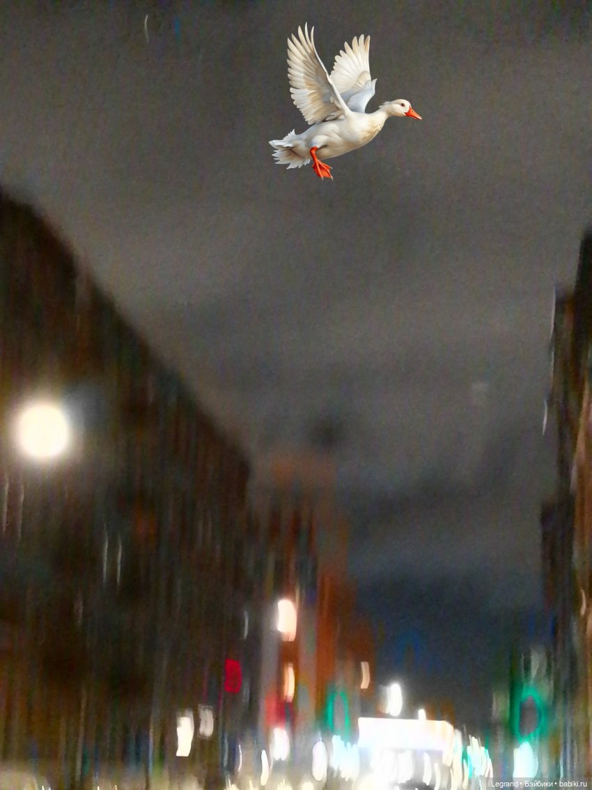 Лурения: Утиные истории - Барин и Сигизмунда