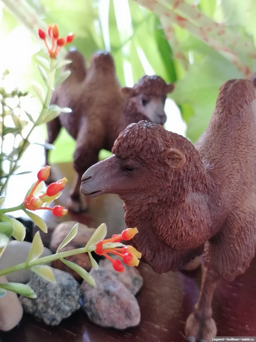 Лурения: Утиные истории - Семья Барина, Ванилька и Милош